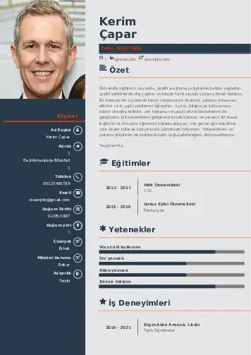 cv indir